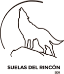 Suelas del Rincon S.A. de C.V.