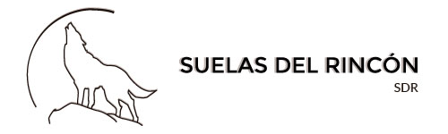 Suelas del Rincon S.A. de C.V.